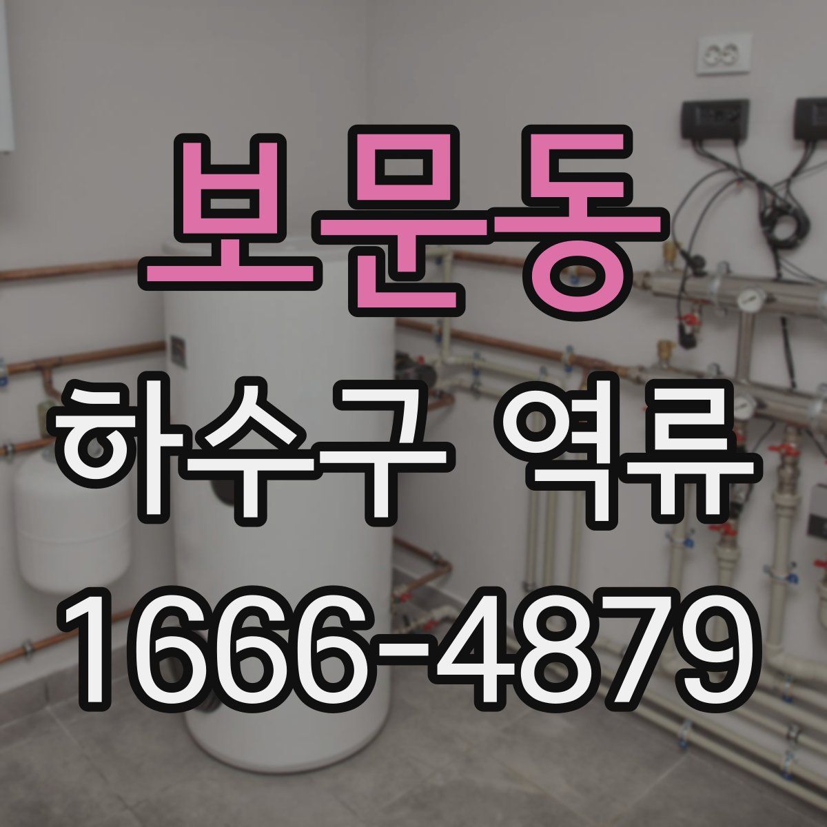 보문동 하수구 역류