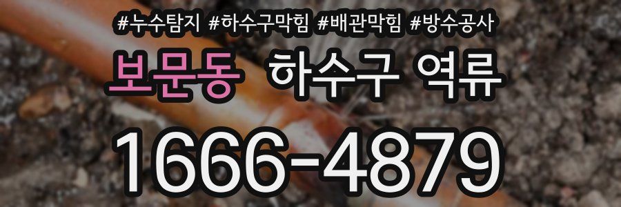 보문동 하수구 역류