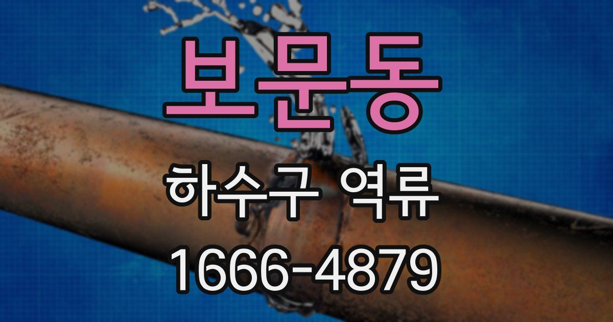보문동 하수구 역류