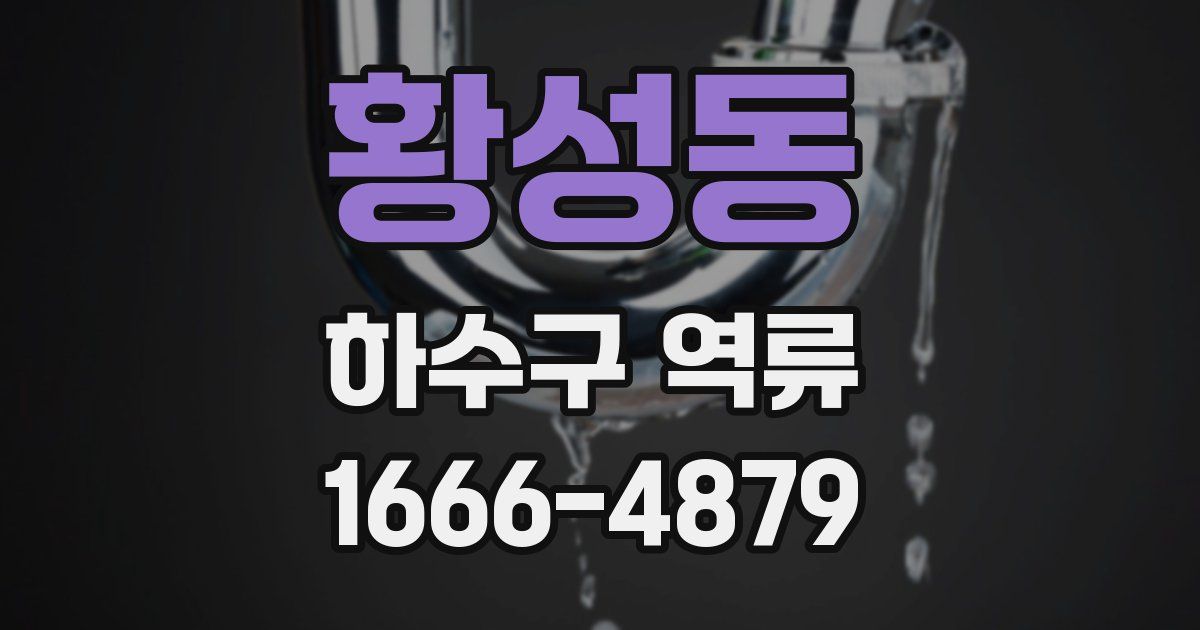 황성동 하수구 역류