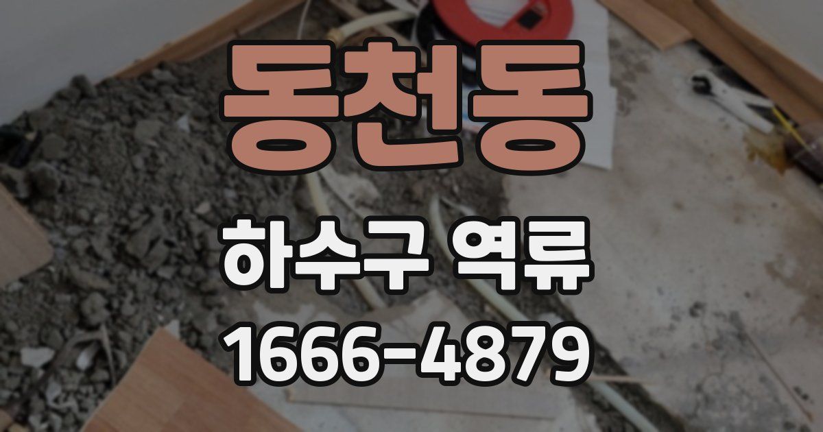 동천동 하수구 역류