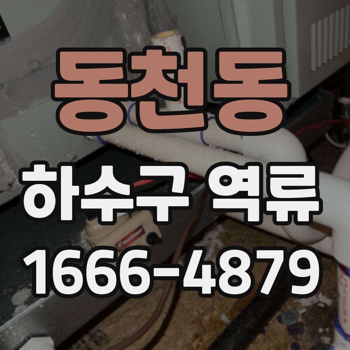 동천동 하수구 역류
