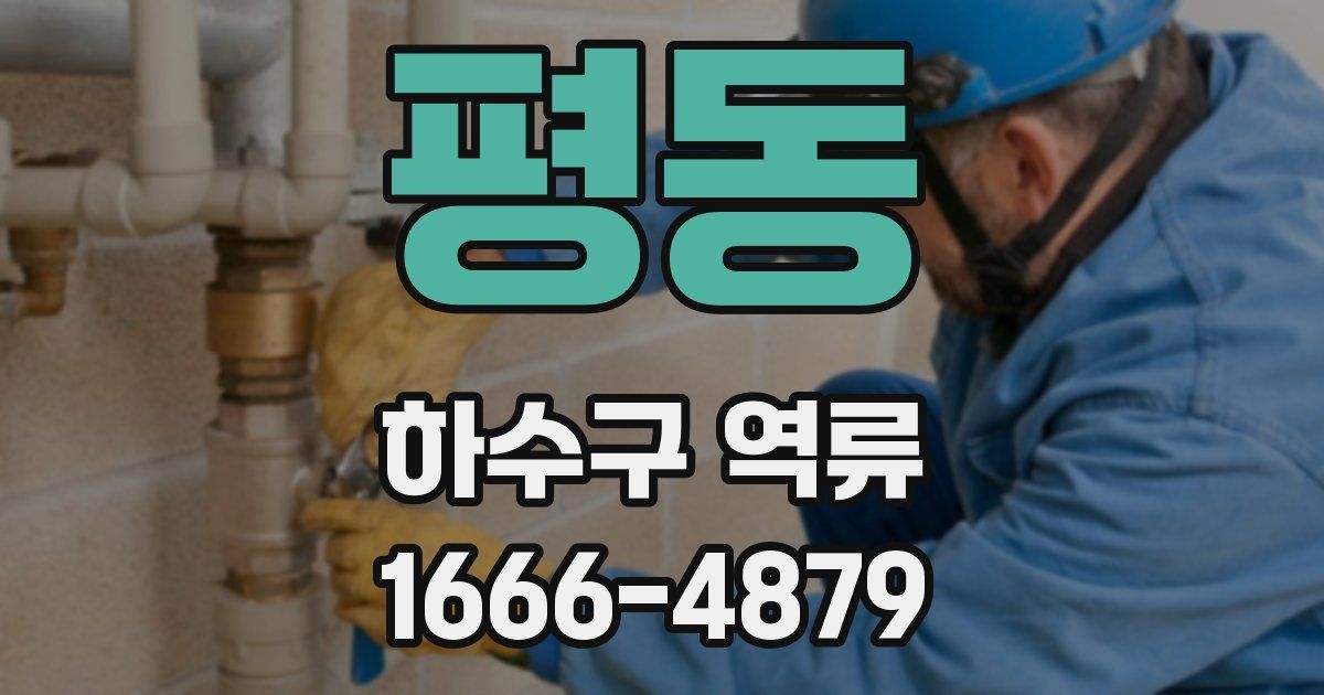 평동 하수구 역류