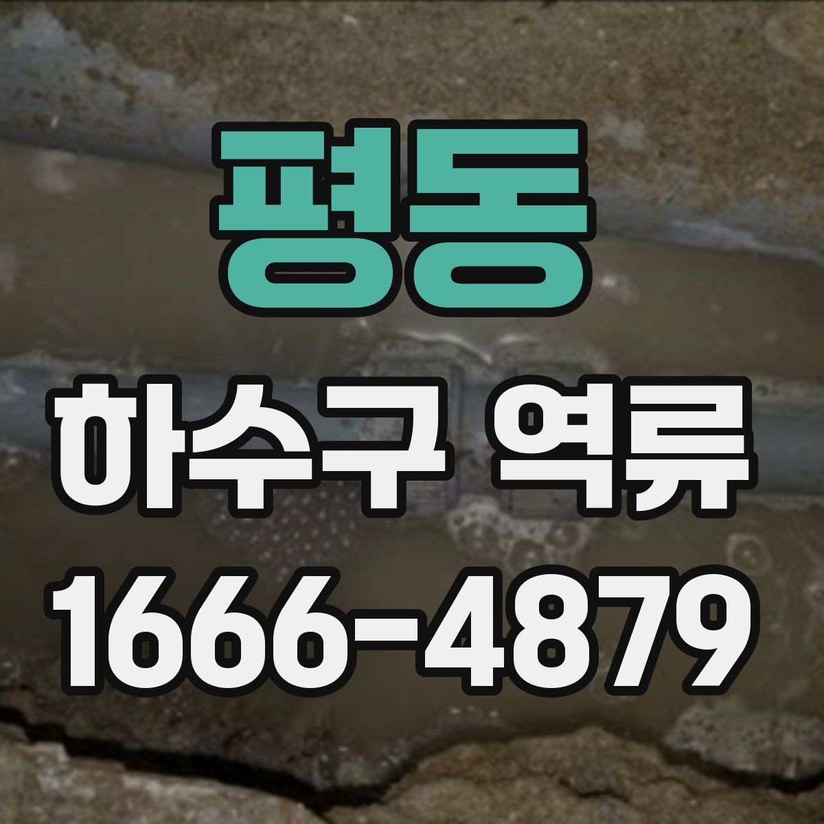평동 하수구 역류