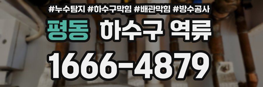 평동 하수구 역류