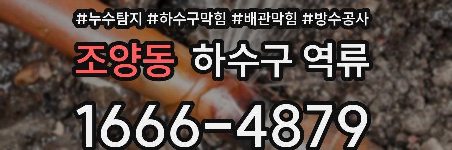 조양동 하수구 역류