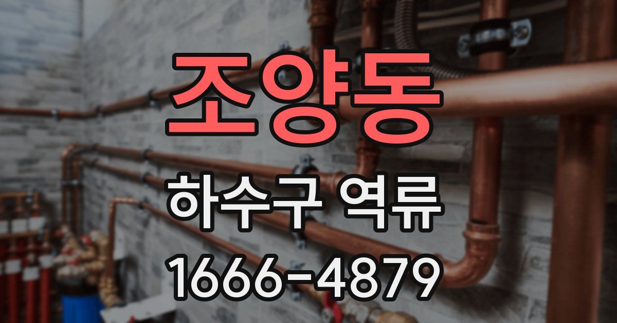 조양동 하수구 역류