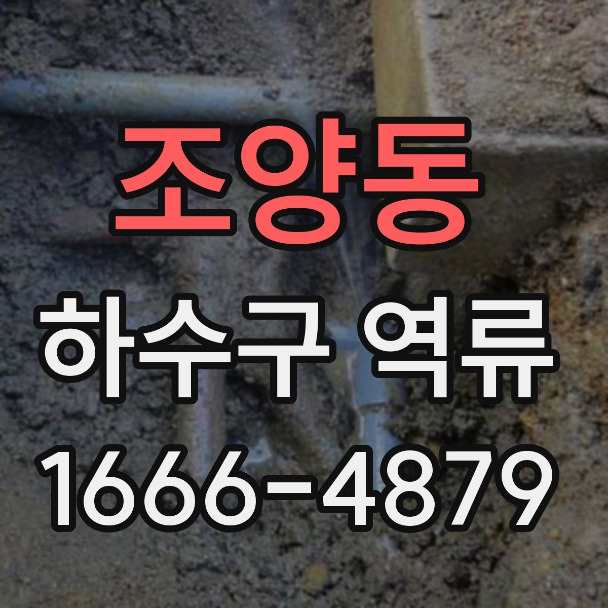 조양동 하수구 역류