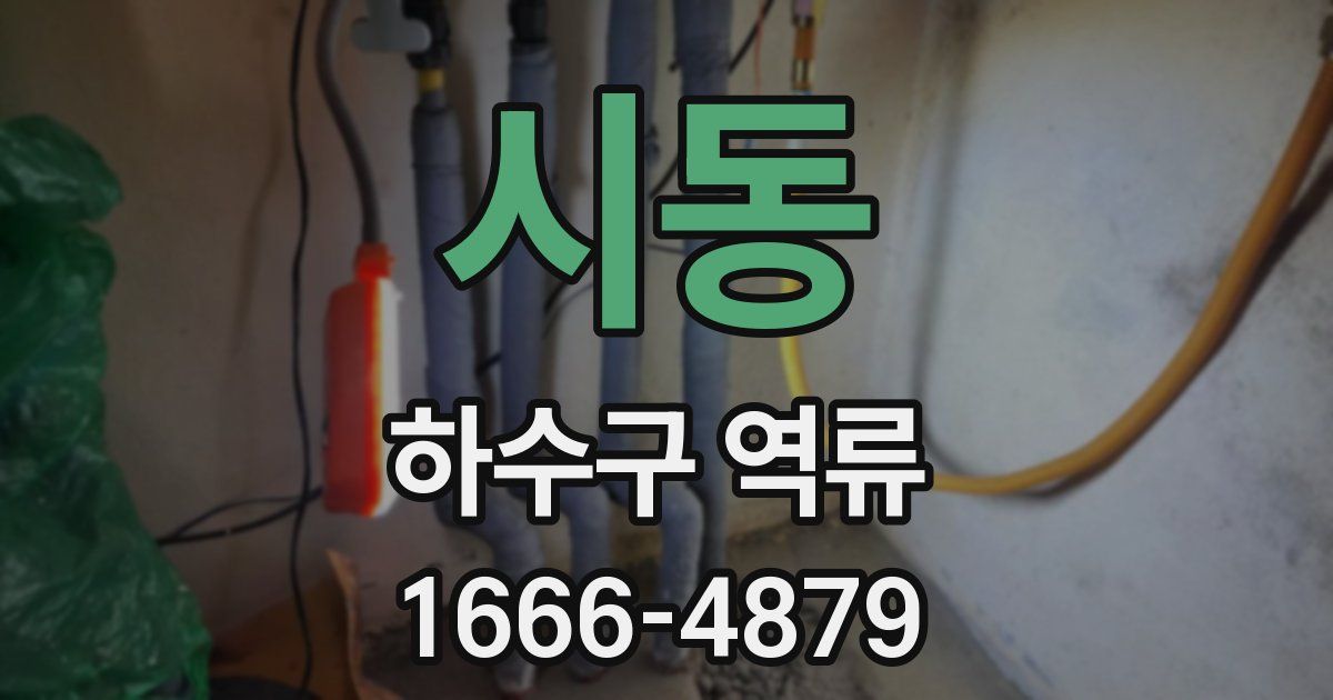 시동 하수구 역류
