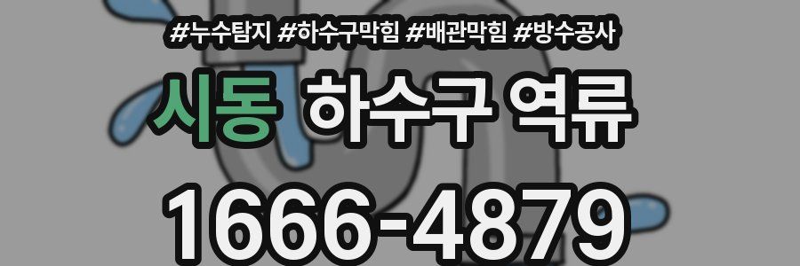 시동 하수구 역류