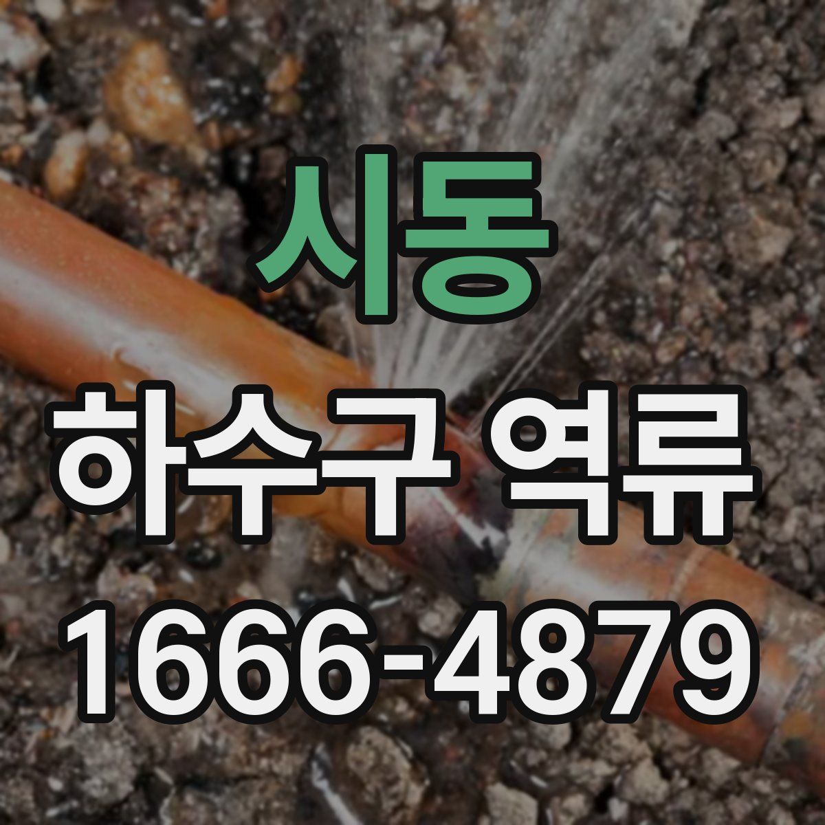 시동 하수구 역류