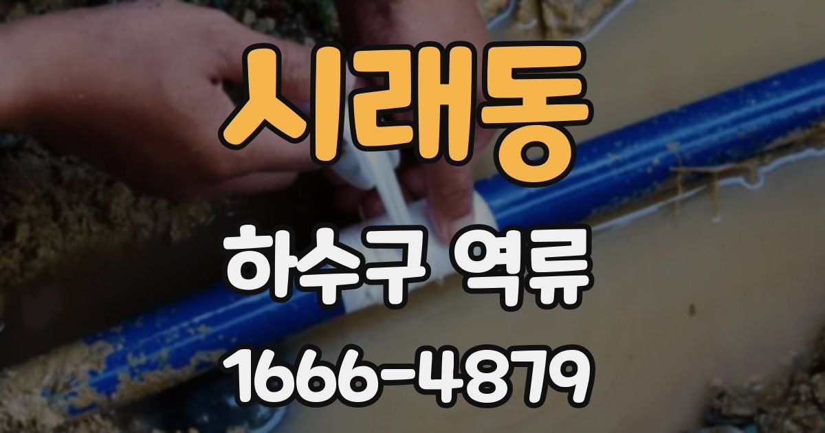 시래동 하수구 역류