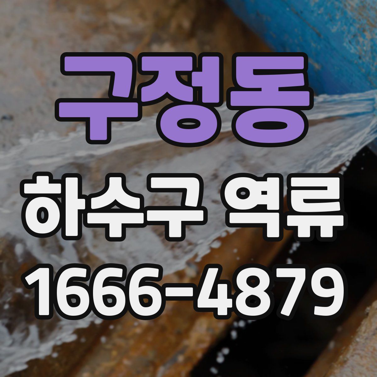 구정동 하수구 역류
