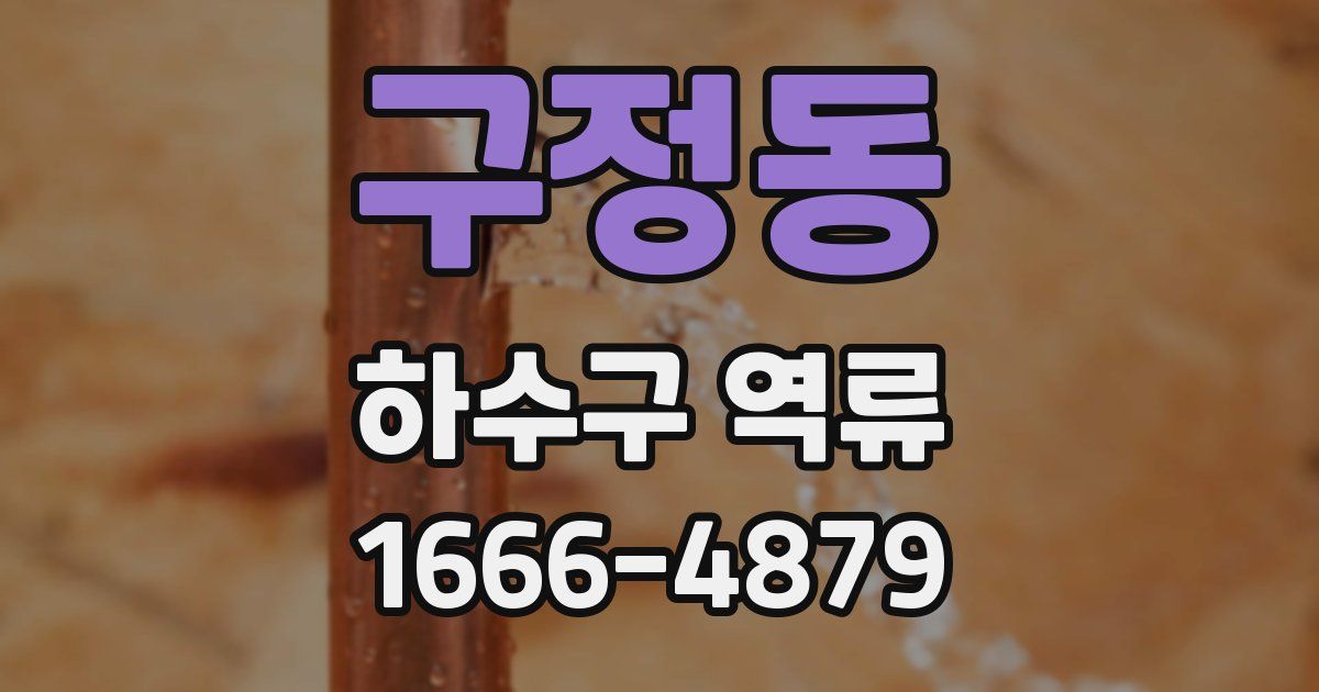 구정동 하수구 역류