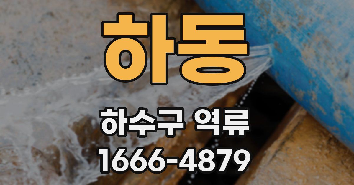 하동 하수구 역류