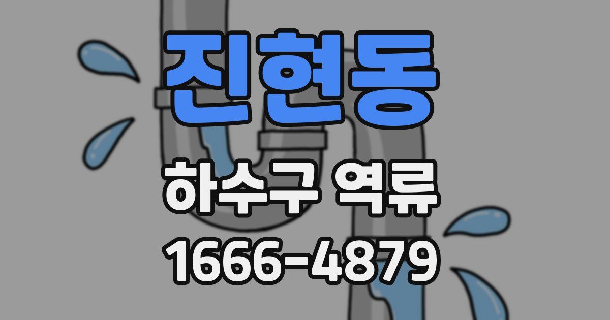 진현동 하수구 역류