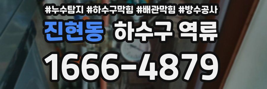 진현동 하수구 역류