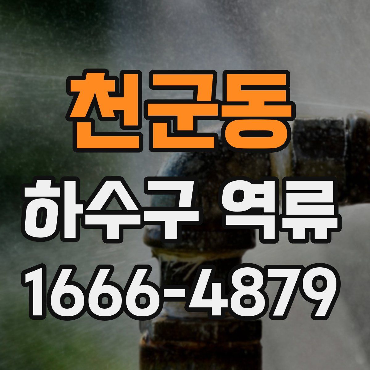 천군동 하수구 역류