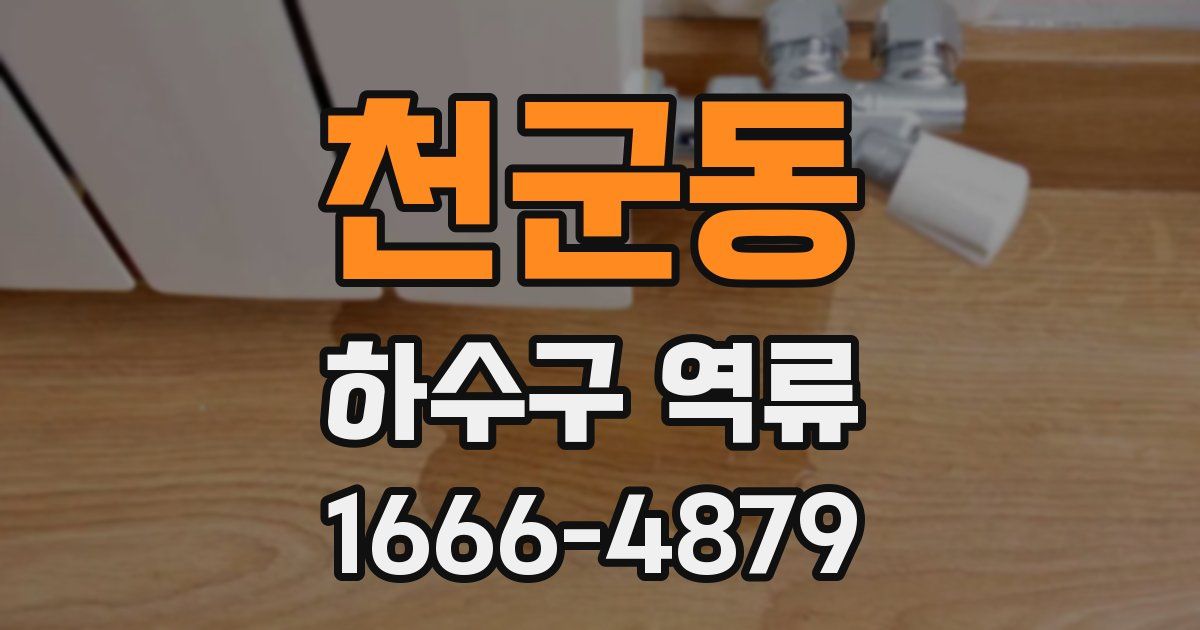 천군동 하수구 역류