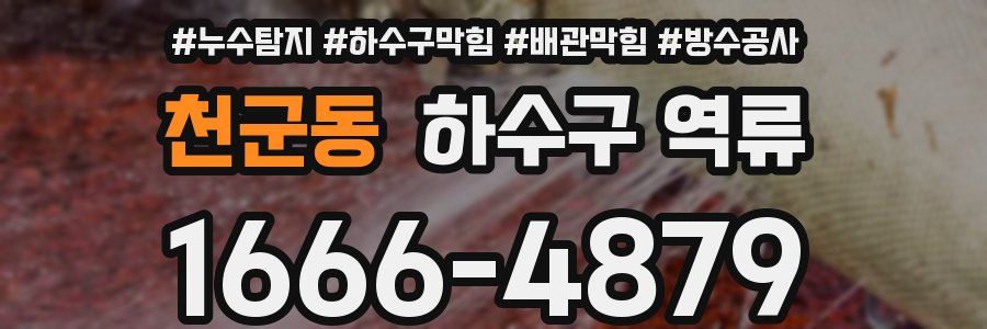 천군동 하수구 역류