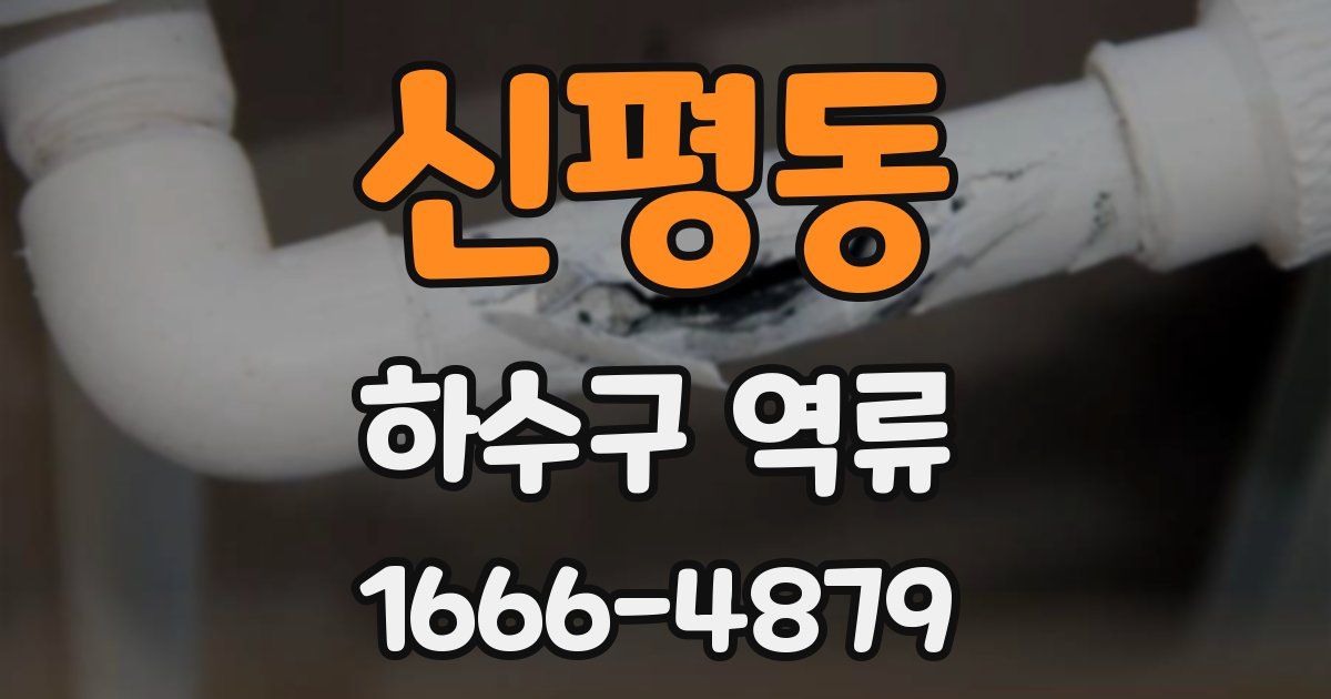 신평동 하수구 역류