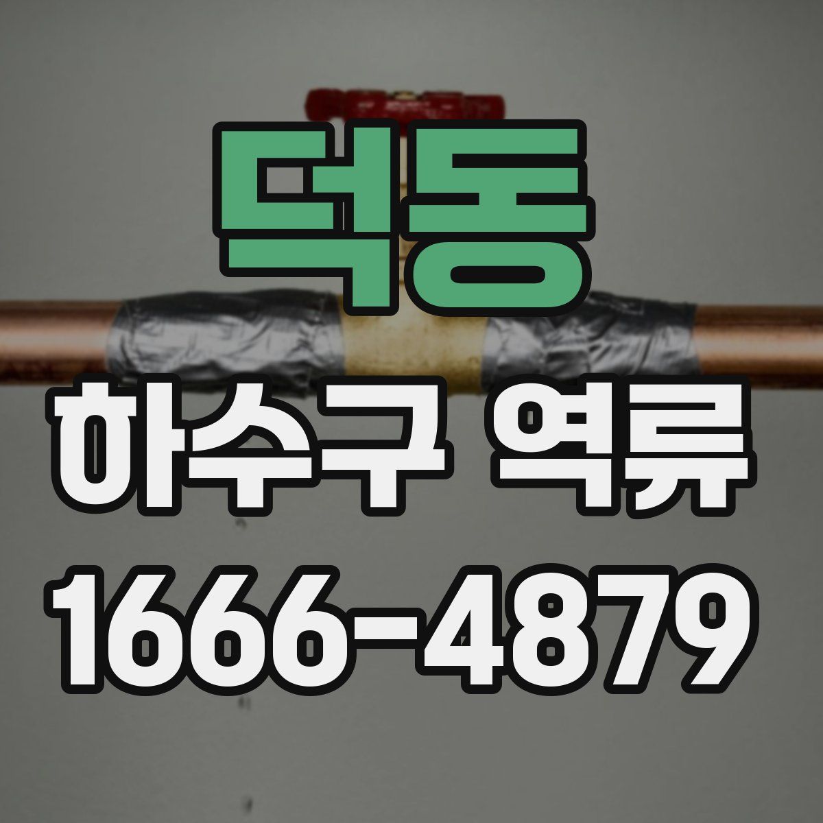 덕동 하수구 역류