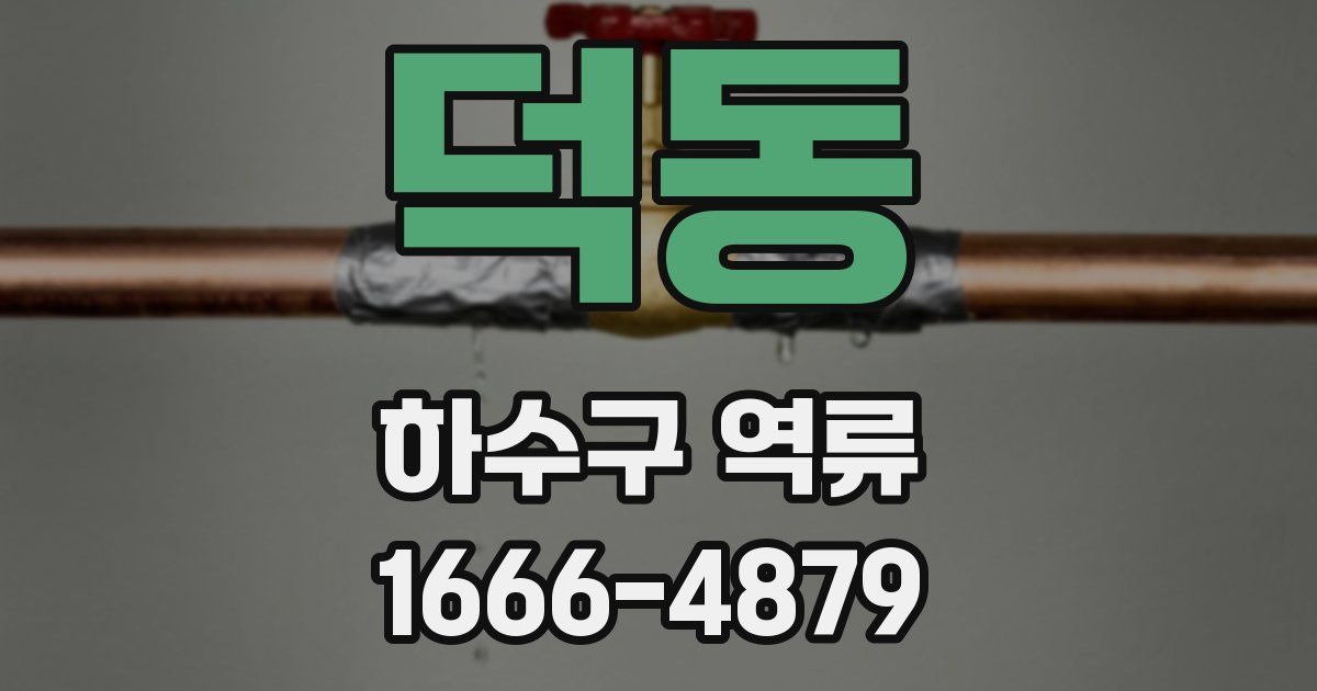 덕동 하수구 역류