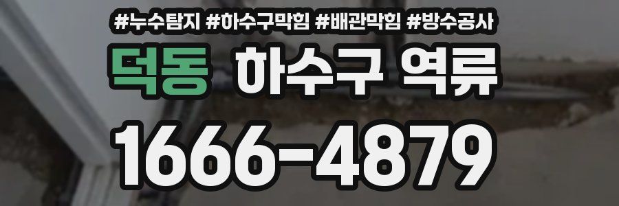 덕동 하수구 역류