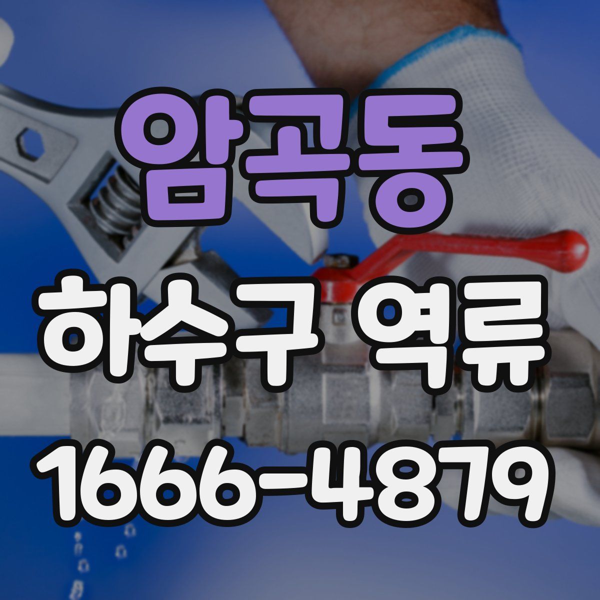 암곡동 하수구 역류