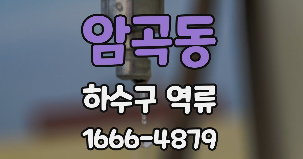 암곡동 하수구 역류