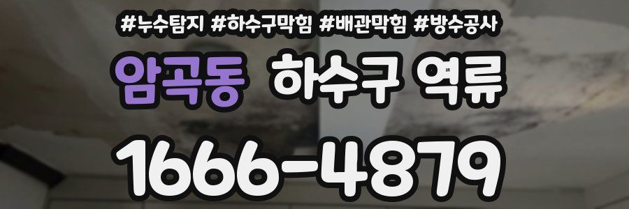 암곡동 하수구 역류