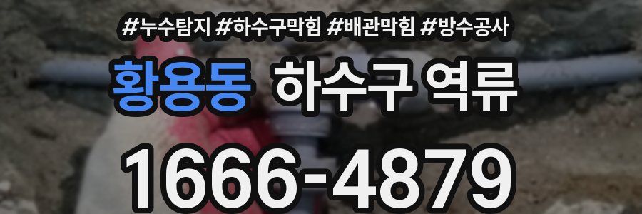 황용동 하수구 역류
