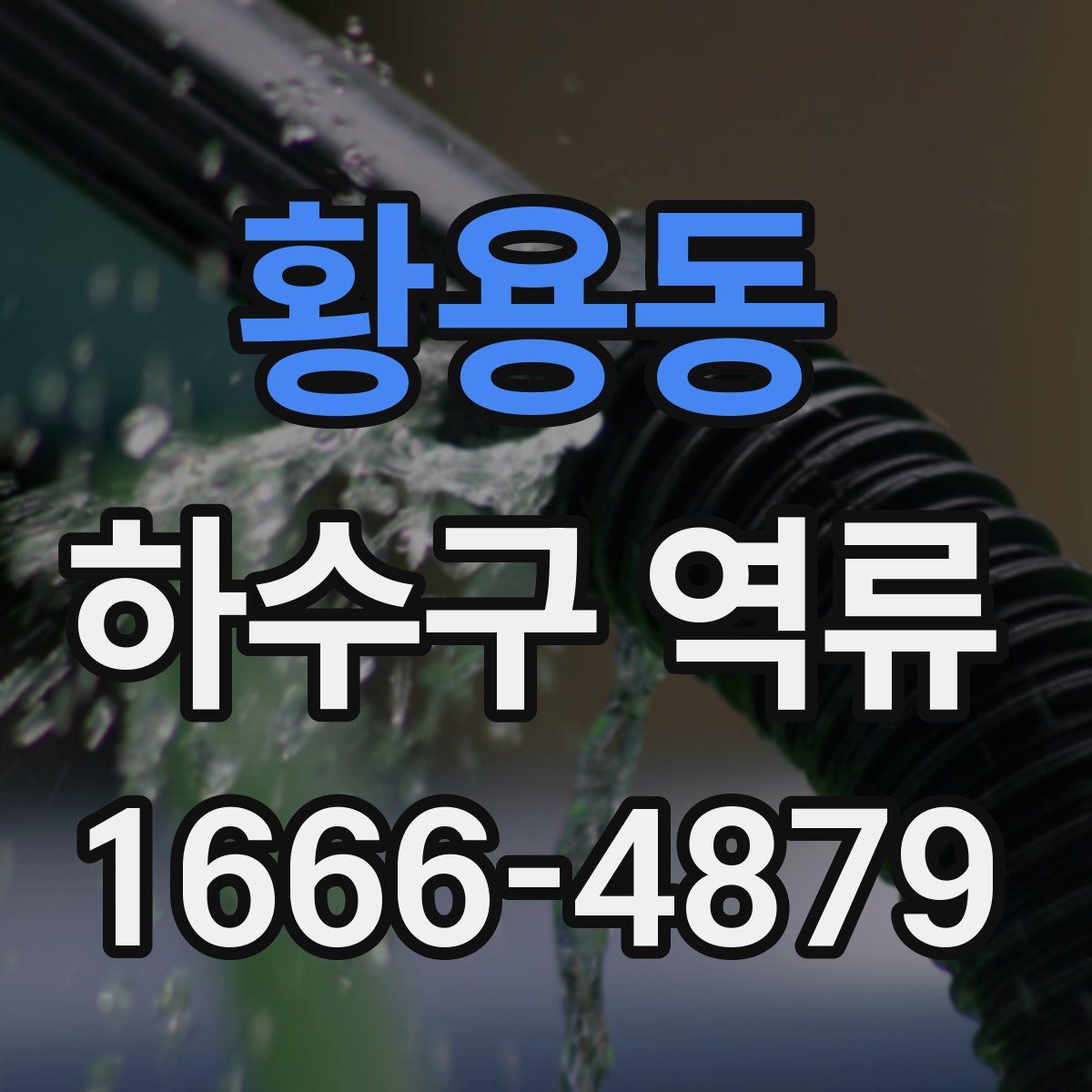 황용동 하수구 역류