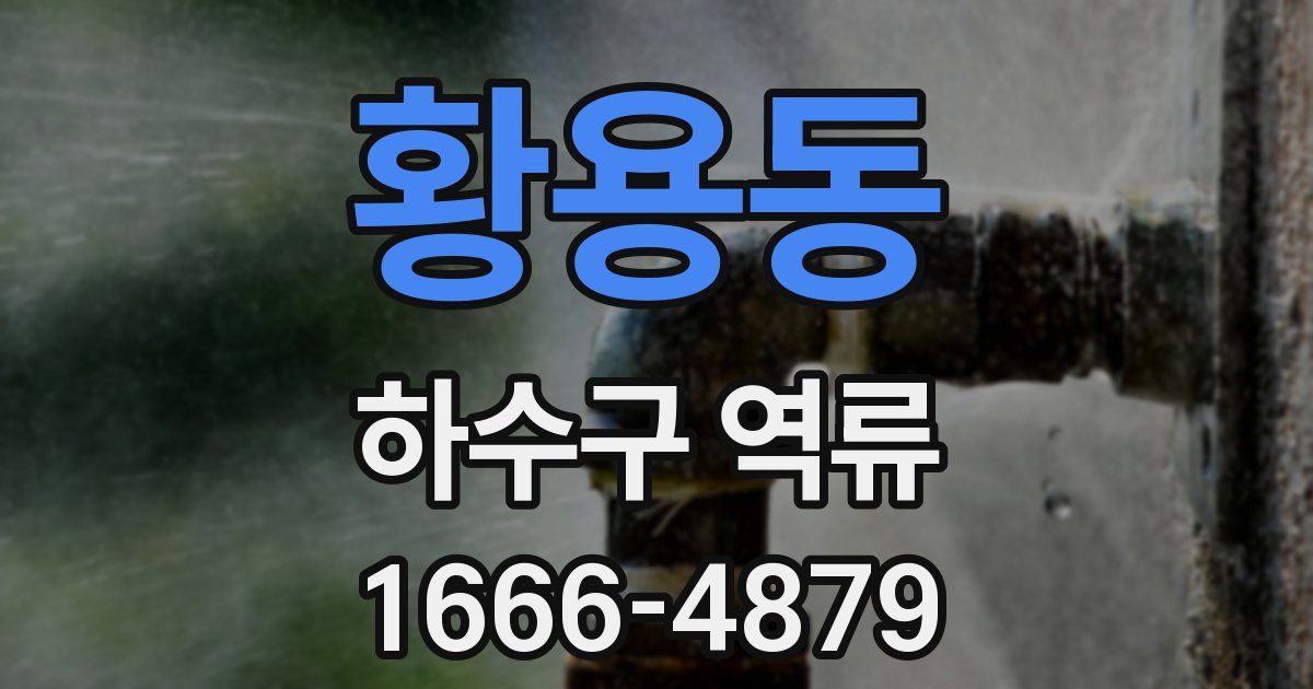 황용동 하수구 역류