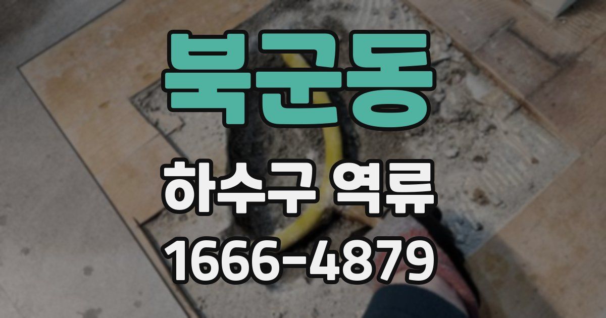 북군동 하수구 역류
