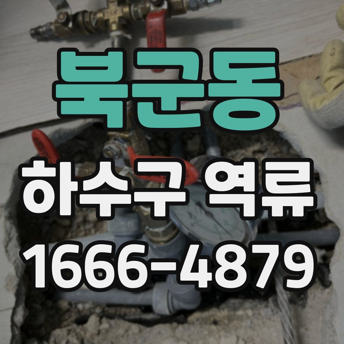 북군동 하수구 역류