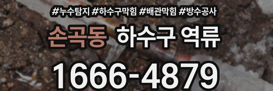 손곡동 하수구 역류