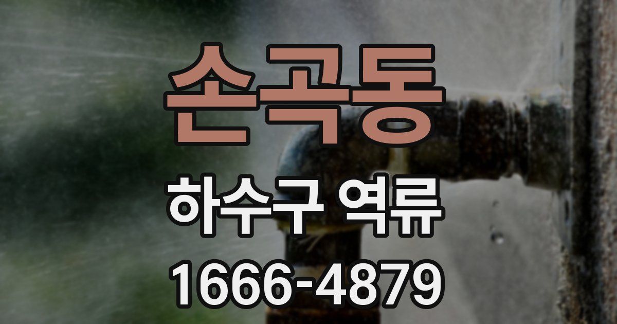 손곡동 하수구 역류