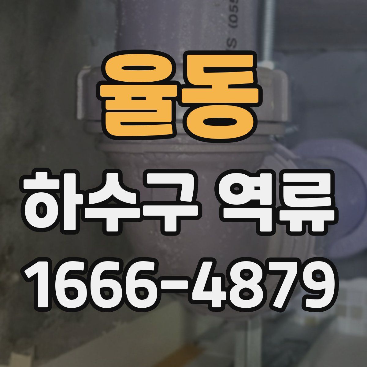 율동 하수구 역류
