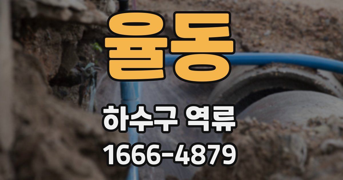 율동 하수구 역류