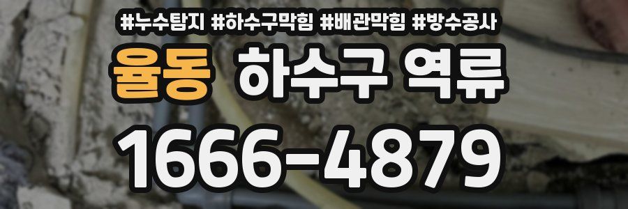 율동 하수구 역류