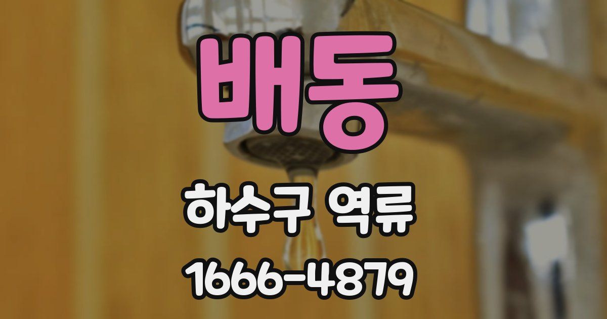배동 하수구 역류