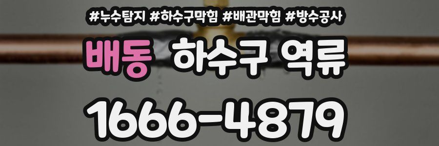 배동 하수구 역류