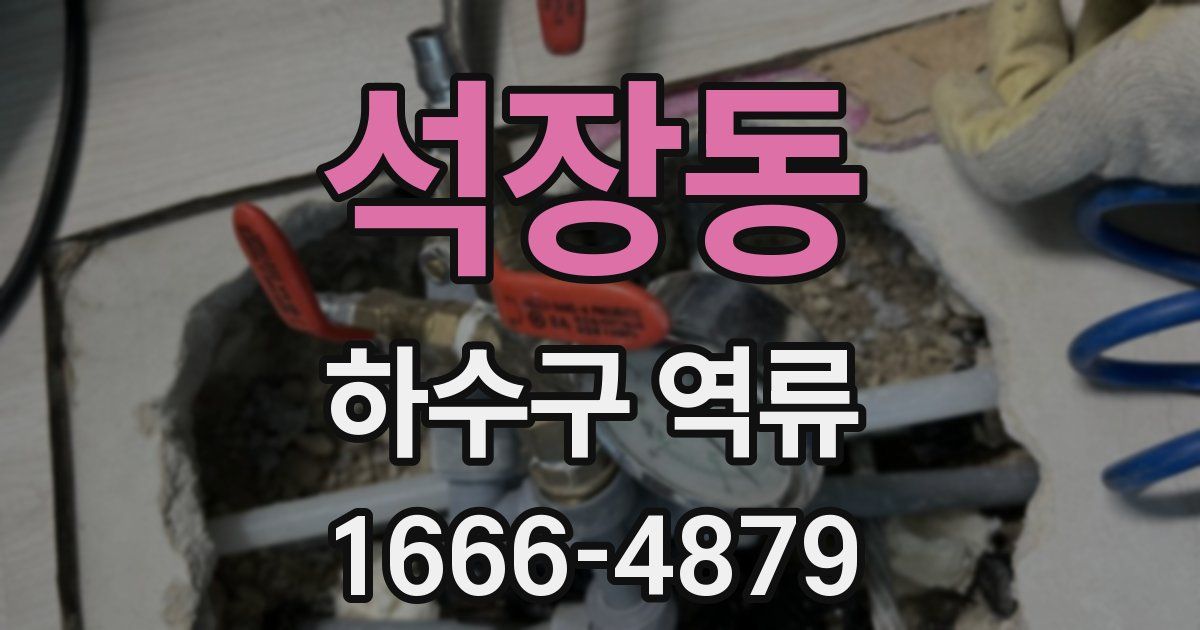 석장동 하수구 역류