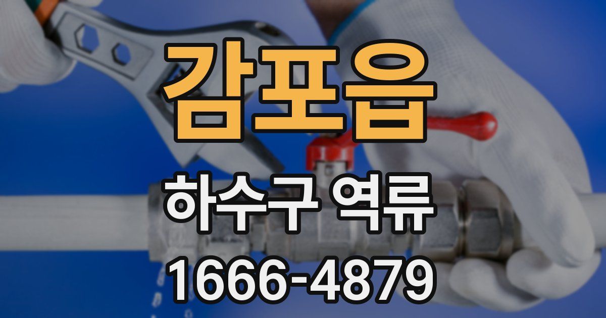 감포읍 하수구 역류