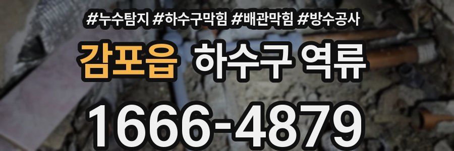 감포읍 하수구 역류