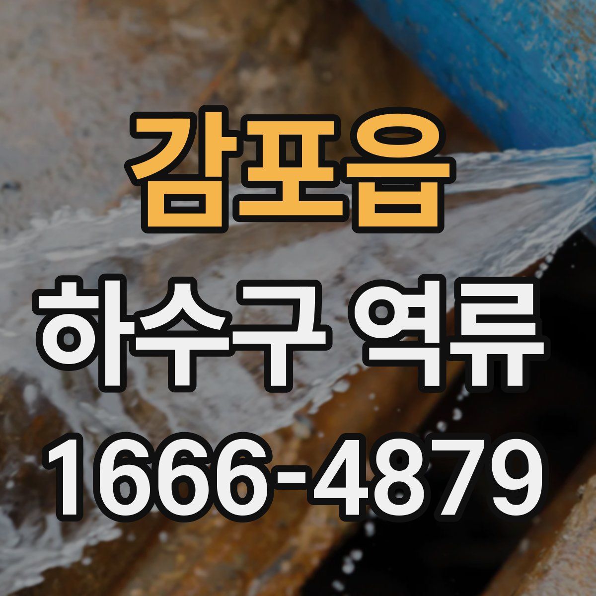 감포읍 하수구 역류