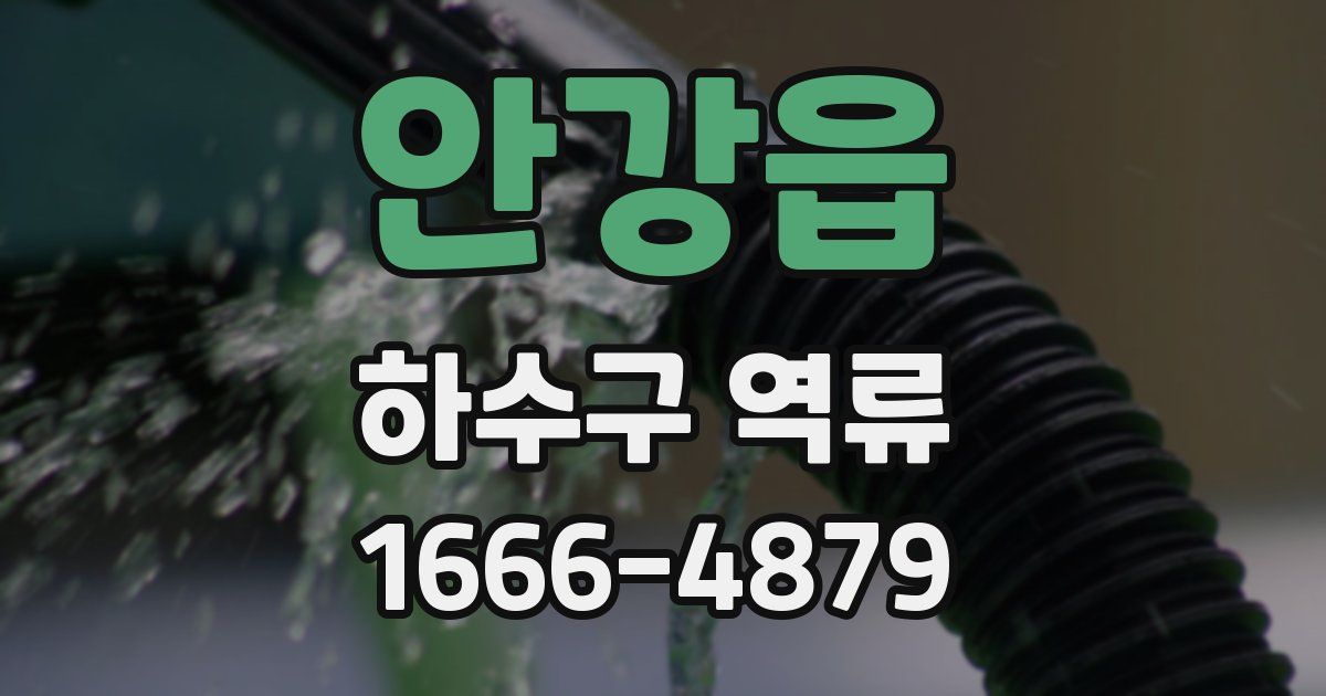 안강읍 하수구 역류