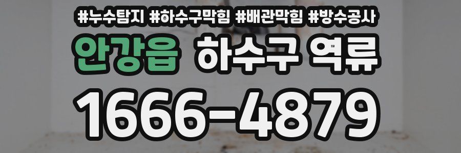 안강읍 하수구 역류