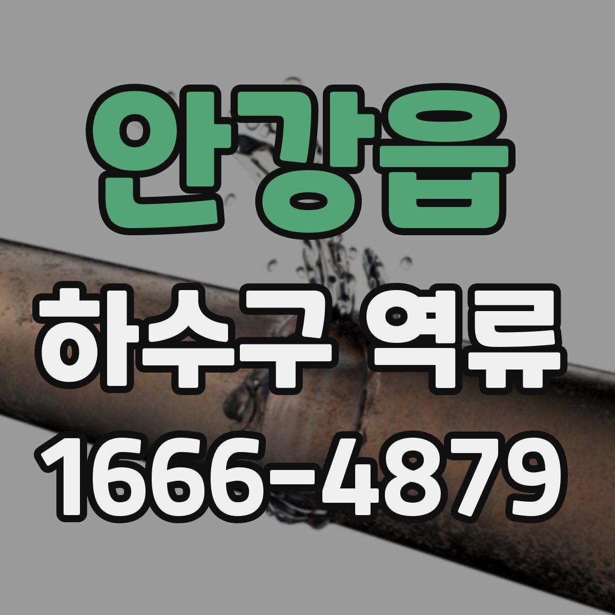 안강읍 하수구 역류